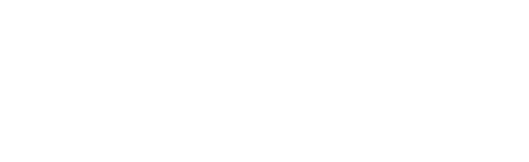 Ativo 17